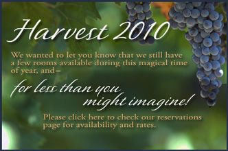 Harvest 2010 stay at the Pink Mansion
