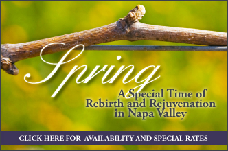 Pink Mansion Spring 2010 Special Rates